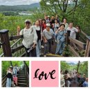 장릉공원휴게소 | 강원도 가볼만한곳 7월 당일치기 여행 단종유배지 영월 청령포
