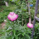 승희농장 이미지