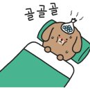 브레드쏭 이미지