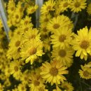 미수운하경로당 이미지