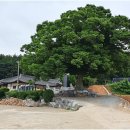 부성사 | 서산-부성사(富城祠), 고운 최치원(孤雲 崔致遠)