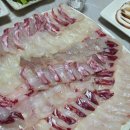 사랑도횟집 - 진주시 도동천로 216 | 삼천포사랑도횟집 재방문 비추솔직후기