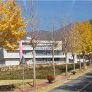 석봉미술관 이미지