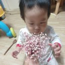 마송어린이집 | 돌끝맘을 향해 ~ 준비완료!