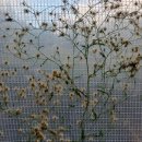 가을농장 이미지