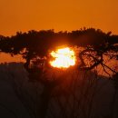 부평평화약국 이미지