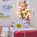 어반스케치(오전반) 이미지