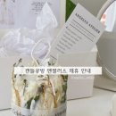 에떼르넬 캔들 이미지