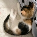 리리사진관 이미지