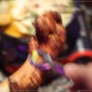 대인상회 - 17073 | 대인상회