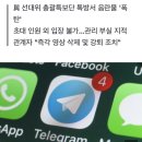 이재명 선대위 총괄특보단 텔레그램서 '음란물 소동' 이미지