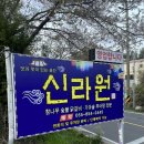 서포추어탕 | [사천맛집추천]“신라원” 방문후기(내돈내먹 닭구이)