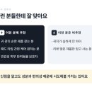 클린앤텐 | 강아지 귀세정 패드 | 반려견 귀청소용품 더독 이어클린패드 솔직 평가