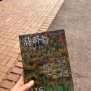 에코스팀세차장효 용인 스팀세차 추천후기 예약방법