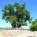 청소년수련관 음악연습실1 이미지