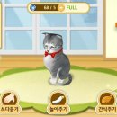 고양이다방 이미지