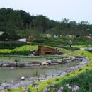 중랑캠핑숲 이미지