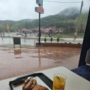 두낫디스터브 반곡지 이미지