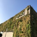 하단동1149 이미지