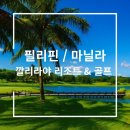 189 | 필리핀 깔리라야 리조트 7박9일 다녀왔어요! 189홀 삼매경 후기