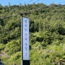 꽃피는 전복식당2 | [진도/쏠비치 맛집] 꽃피는 전복식당 2 내돈내산 솔직 후기