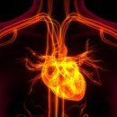 더조은내과의원 이미지