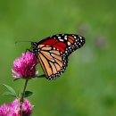 [바둑 초급] 실전 기본 포석 익히기 | 명품 감성 핫딜 선착순 바둑입문