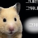 수투