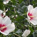 두만농장 이미지