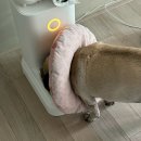 (주)정우페인팅 | 계획대로 흘러가지 않은 한 주