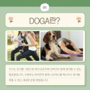 호랑이동물병원