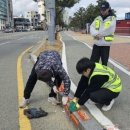 (주)포항정비 이미지