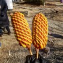 핫도그하우스 이미지