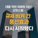 D.H부동산공인중개사사무소 | 🏢 대출 막힌 아파트 대신 오피스텔... 규제 비켜 간 풍선효과, 다시 시작됐다