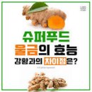 울금의 효능 10가지와 울금의 부작용 이미지