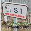 대구 구미근교 경북 캠핑장 의성 고운마을 애견동반/트레일러 가능