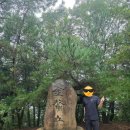 배동삼릉 | [블랙야크 100대 명산]경북 경주 경주남산 금오봉 삼릉탐방지원센터-바둑바위-경주남산 정상 금오봉...