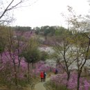 선사시대로 탐방 길(선사1코스) 이미지