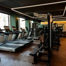 온바디짐 이미지