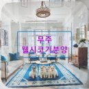 뭉치, 그루밍 | 무주 웰시코기분양 후 1년 뭉치와 함께한 예상치 못한 일상 기록