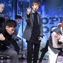 탑독 이미지