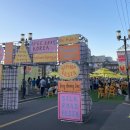 (주)허미 | 두 번 없을 인생을 표류하자 불확실성 속에