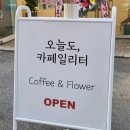 카페일리터 이미지