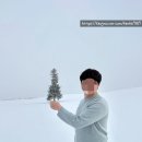 (주)한코교역 | 코지스트 삿포로 스냅촬영 일본 감성 가득 담아온 내돈내산 후기