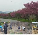 양보면사무소 이미지