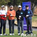 시넥스 이미지