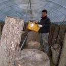 삿갓농장 이미지