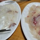 노루채 네이버블로그