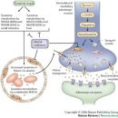 아민약국 이미지