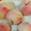 천공농장 이미지